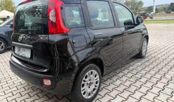 FIAT PANDA 1242 CC benzina full