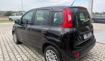 FIAT PANDA 1242 CC benzina full